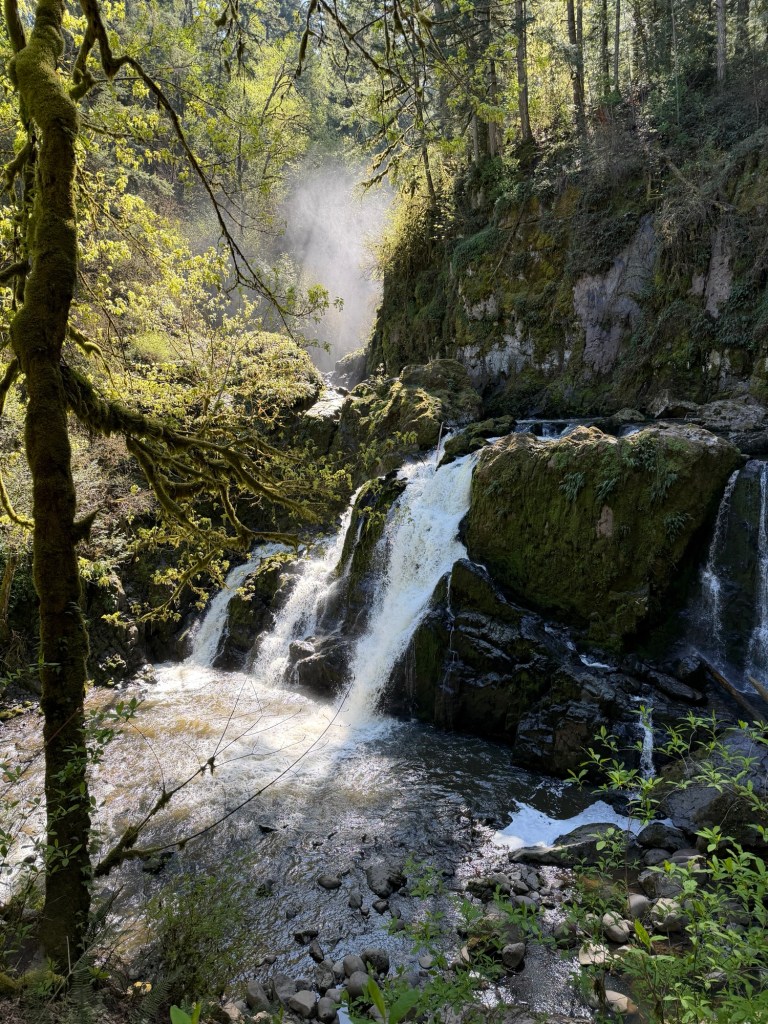 img_0166